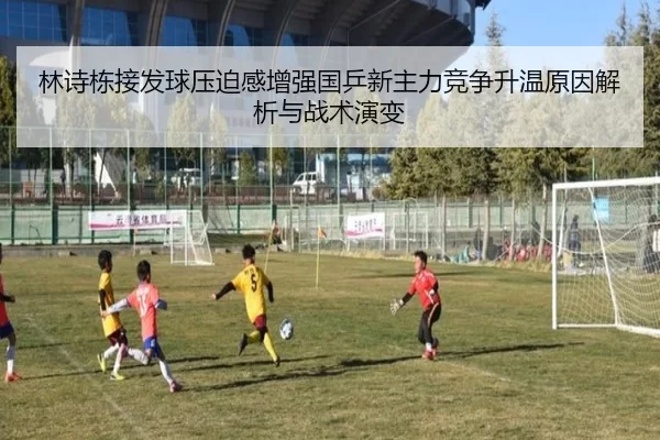 lin-shi-dong-jie-fa-qiu-ya-po-gan-zeng-qiang-guo-ping-xin-zhu-li-jing-zheng-sheng-wen-yuan-yin-jie-xi-yu-zhan-shu-yan-2-411.jpg