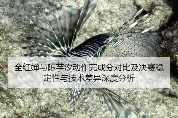 全红婵与陈芋汐动作完成分对比及决赛稳定性与技术差异深度分析