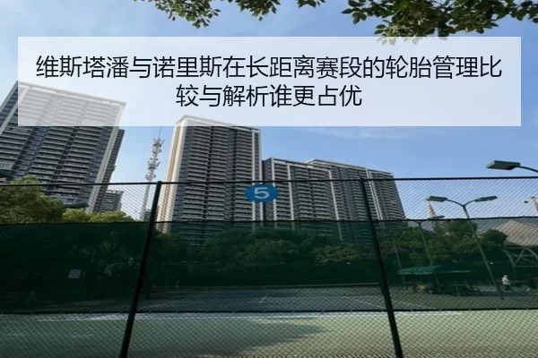 维斯塔潘与诺里斯在长距离赛段的轮胎管理比较与解析谁更占优